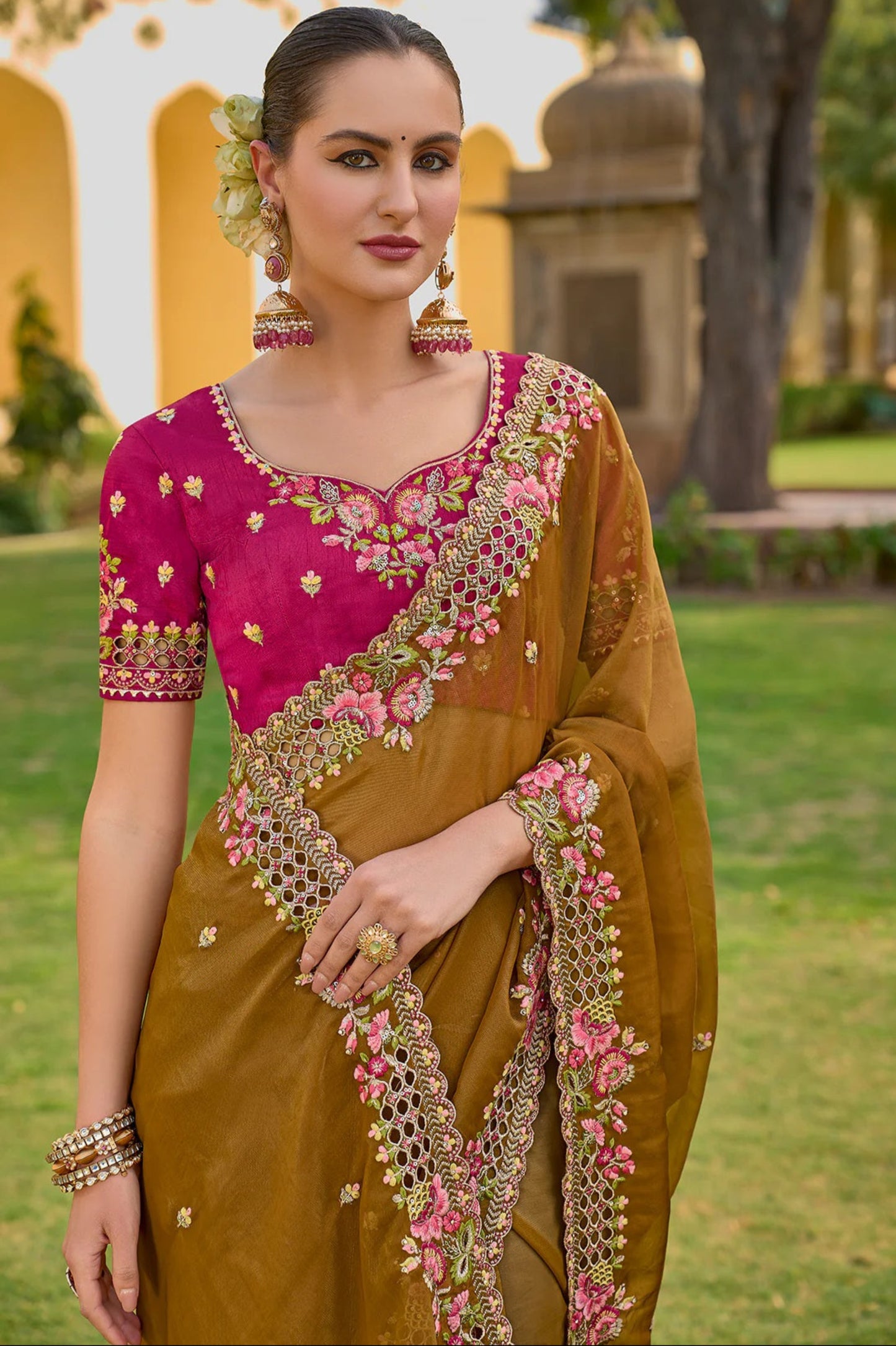 ladies saree
