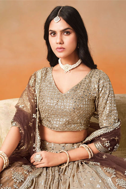 Indian Traditional Designer Georgette & Embroidery Work Lehenga Choli
