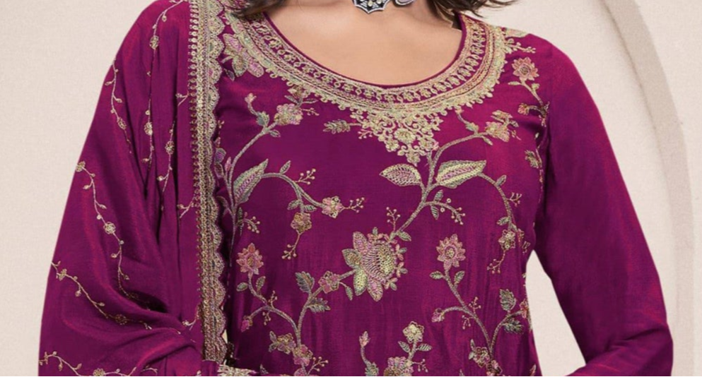 Women’s Wine Dress With Embroidery and Modern Look.